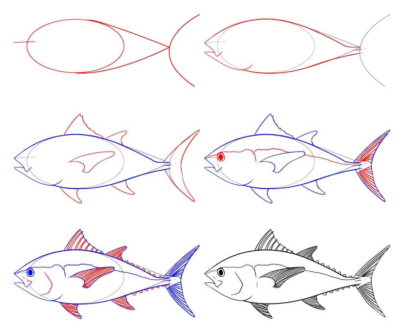 Tuna Drawing Ideas