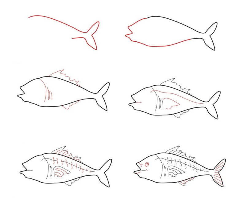 Tuna idea (7) Drawing Ideas