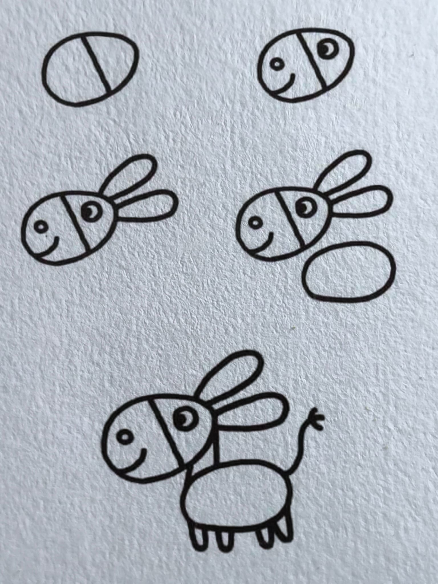 A simple Donkey Drawing Ideas