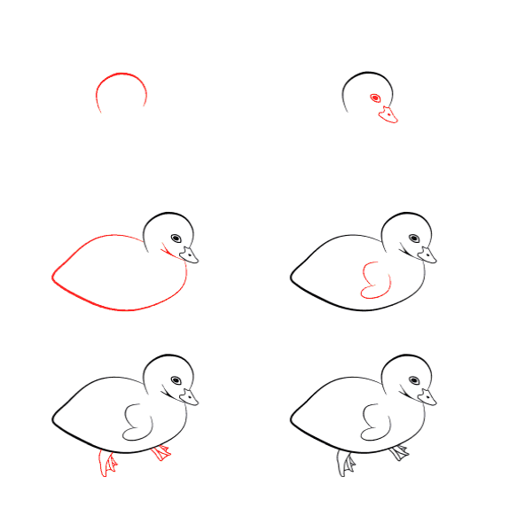 How to draw Baby goose