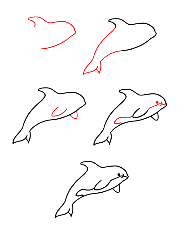 How to draw baby killer whale