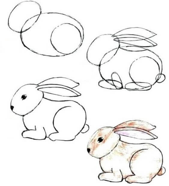 Bunny idea (20) Drawing Ideas