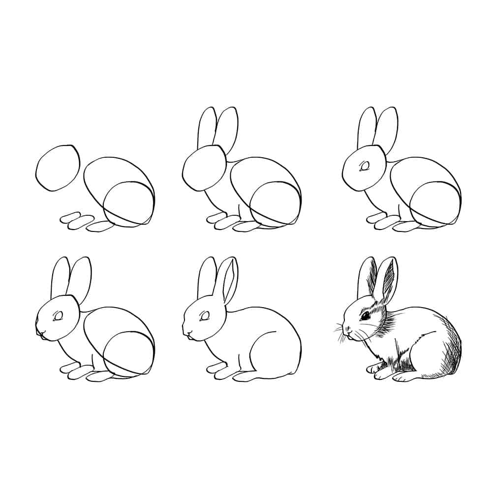 How to draw Bunny idea (22)