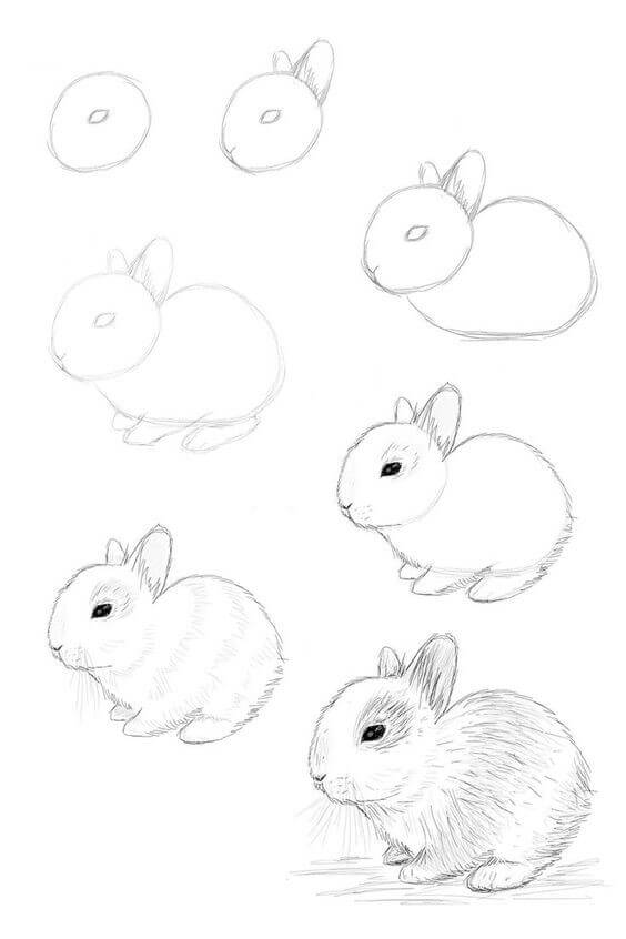 How to draw Bunny idea (27)