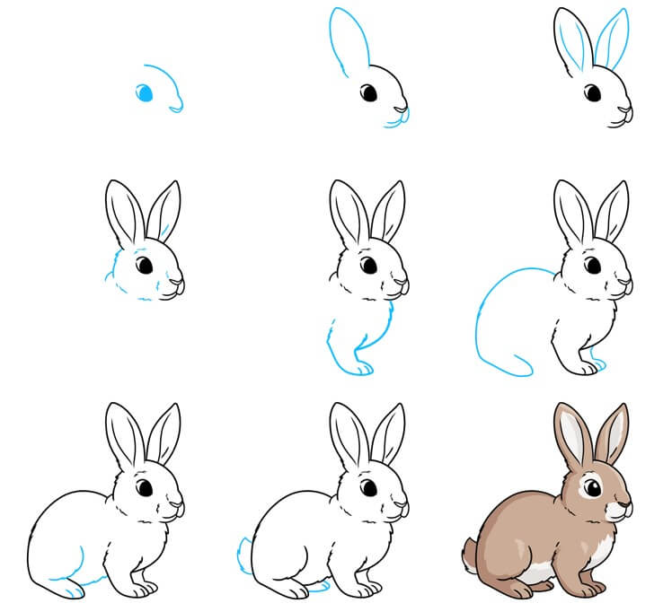 How to draw Bunny idea (30)