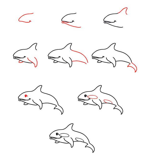 cartoon killer whale Drawing Ideas