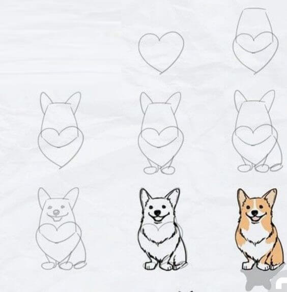 How to draw Corgi idea (1)