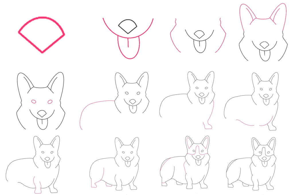 How to draw Corgi idea (13)