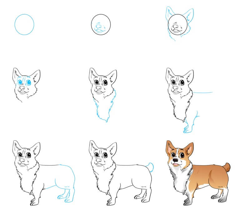 How to draw Corgi idea (15)