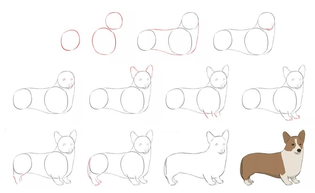 How to draw Corgi idea (17)