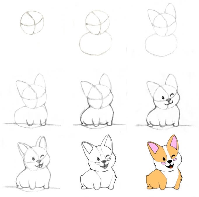 How to draw Corgi idea (19)