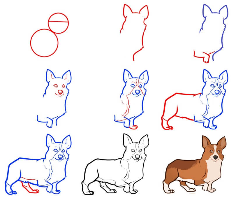 How to draw Corgi idea (21)