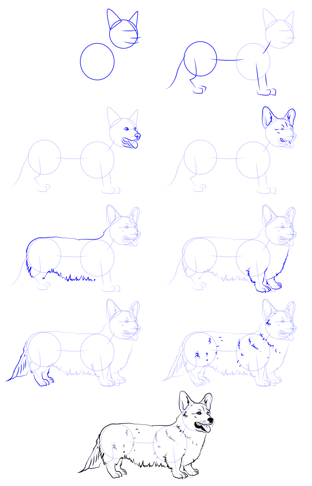 How to draw Corgi idea (22)