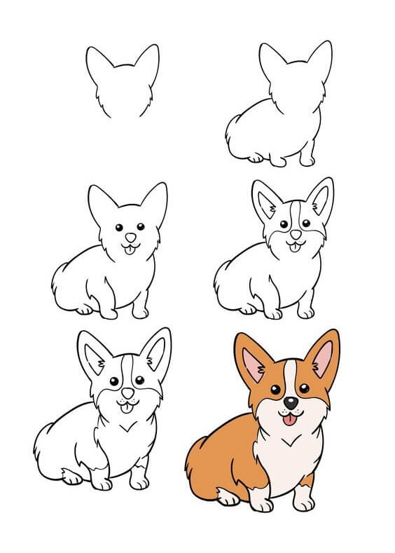 How to draw Corgi idea (3)