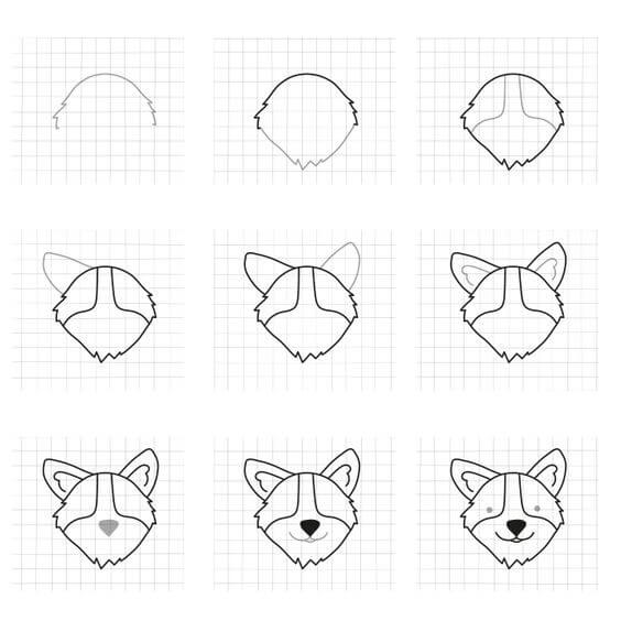 How to draw Corgi idea (4)