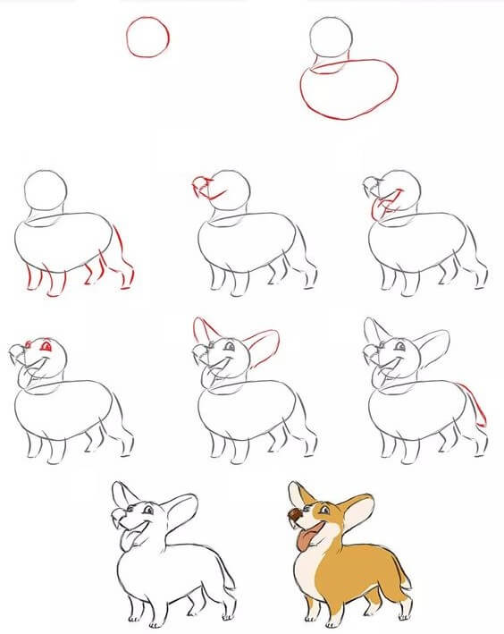 How to draw Corgi idea (6)