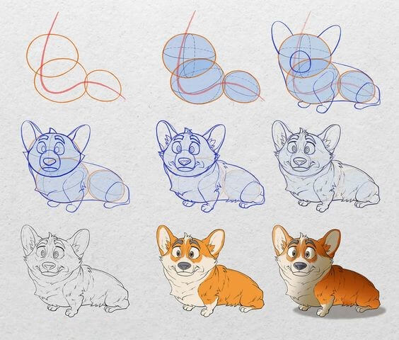 How to draw Corgi idea (9)