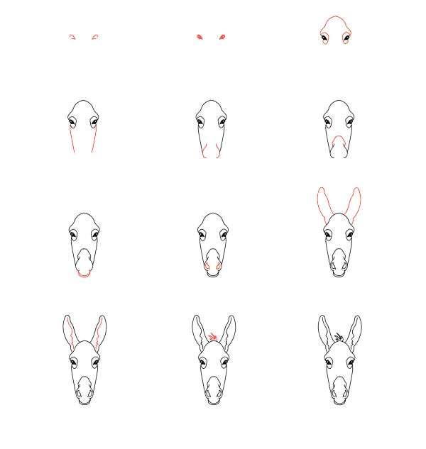 How to draw Donkey face