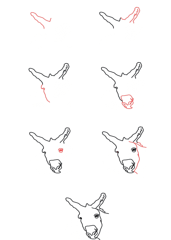 How to draw Donkey head