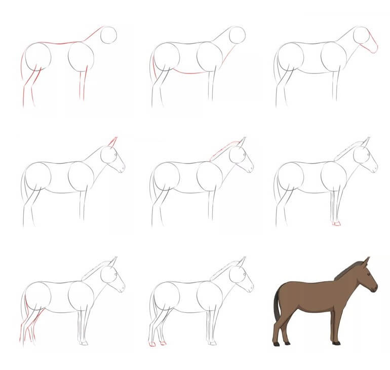 How to draw Donkey idea (17)