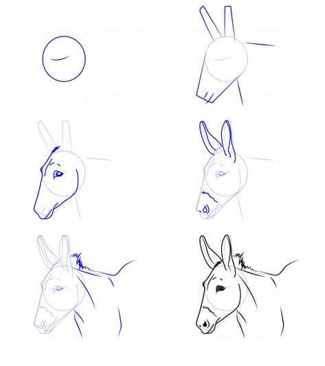 How to draw Donkey idea (2)