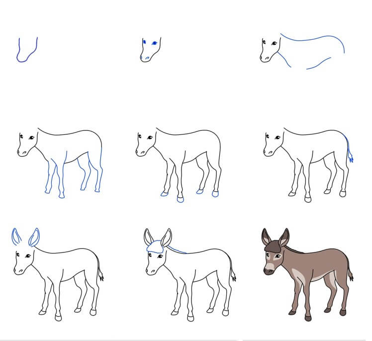 Donkey idea (20) Drawing Ideas