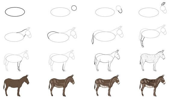 How to draw Donkey idea (25)