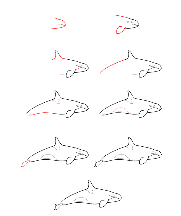 Drawing simple orca (2) Drawing Ideas