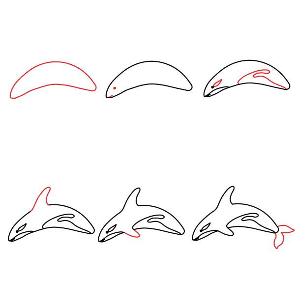 Drawing simple orca Drawing Ideas