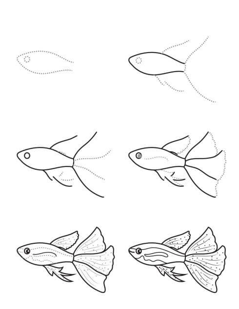 Goldfish idea (1) Drawing Ideas