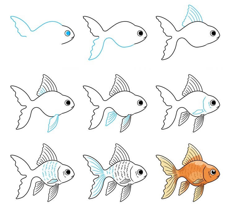 Goldfish Drawing Ideas