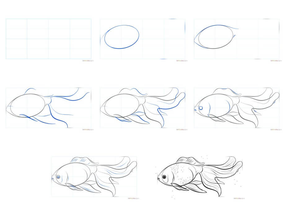 Goldfish idea (15) Drawing Ideas