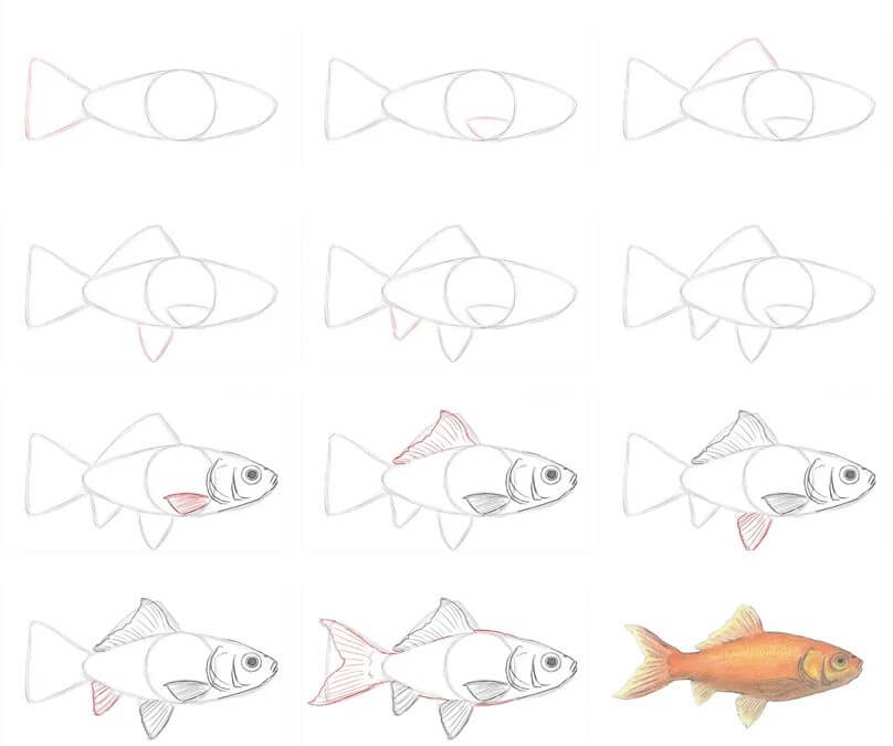 Goldfish idea (17) Drawing Ideas