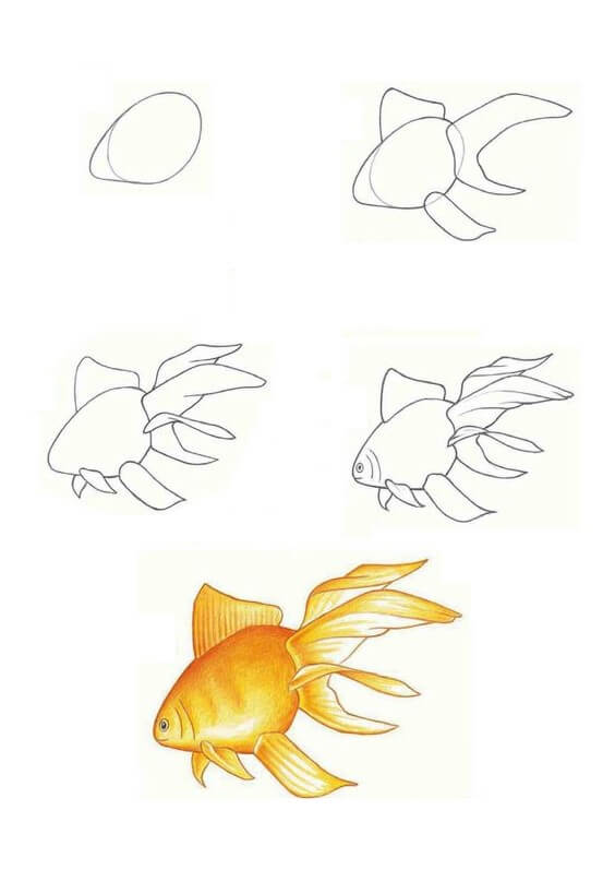 How to draw Goldfish idea (2)