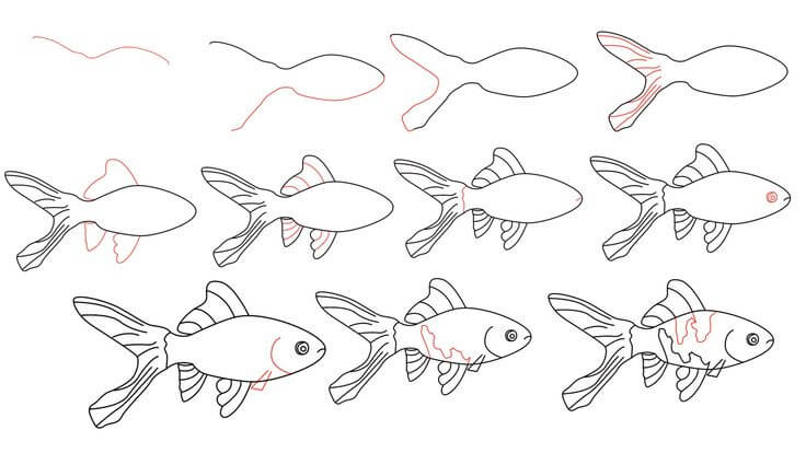 Goldfish idea (3) Drawing Ideas