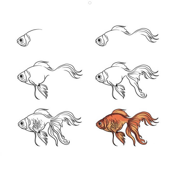 How to draw Goldfish idea (6)