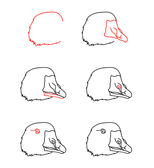 Goose face Drawing Ideas