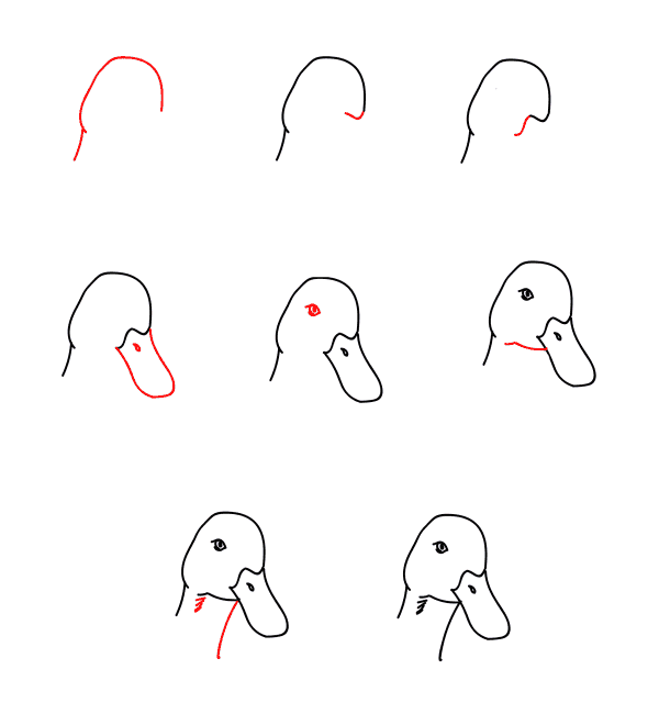 How to draw Goose head