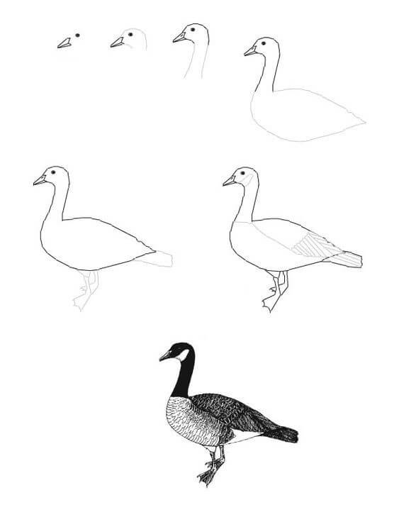 How to draw Goose idea (1)