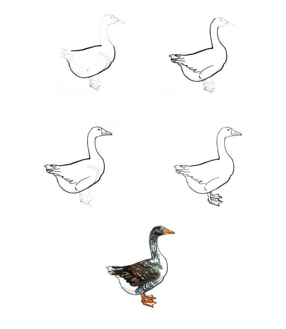 How to draw Goose idea (15)