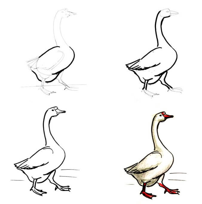 How to draw Goose idea (16)