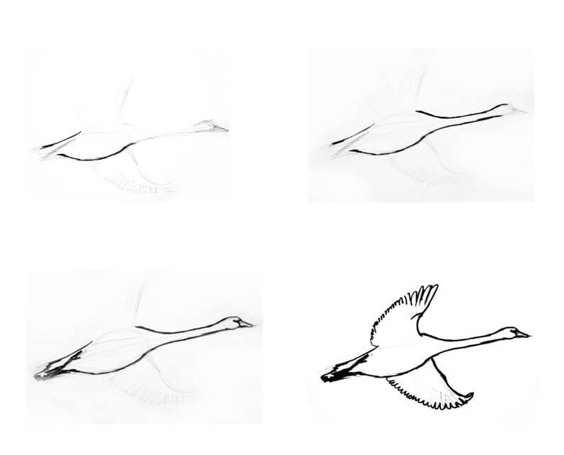 Goose idea (17) Drawing Ideas