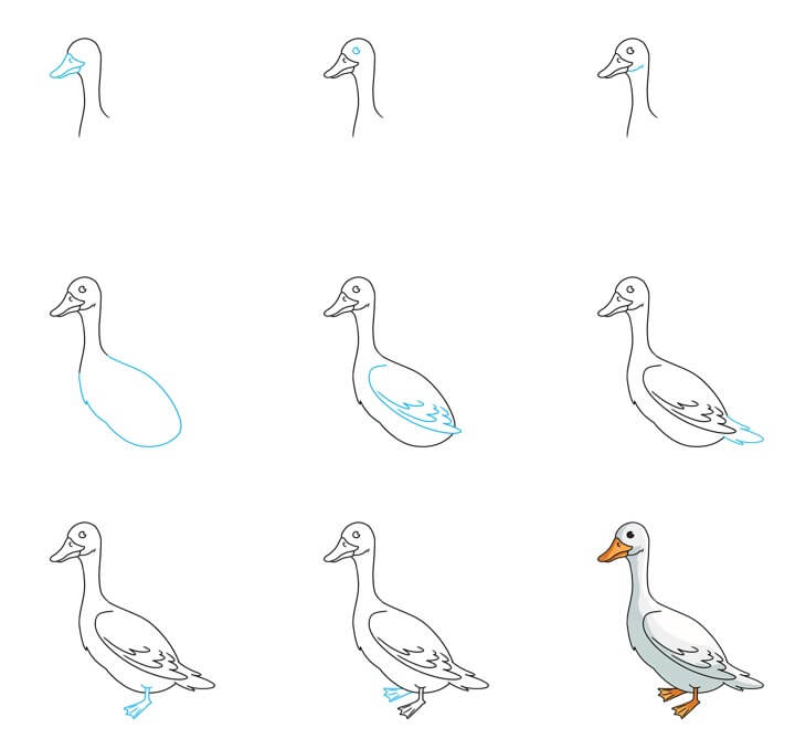 How to draw Goose idea (18)