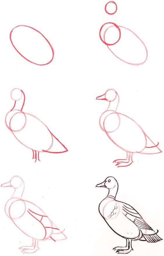 Goose idea (2) Drawing Ideas