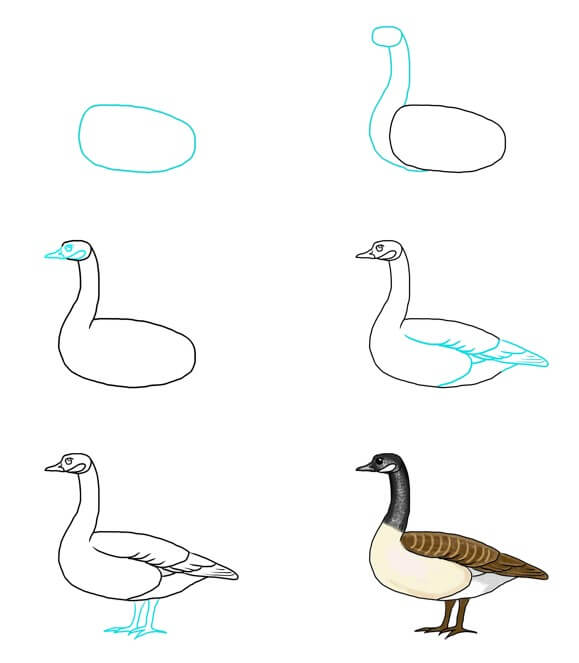 How to draw Goose idea (21)