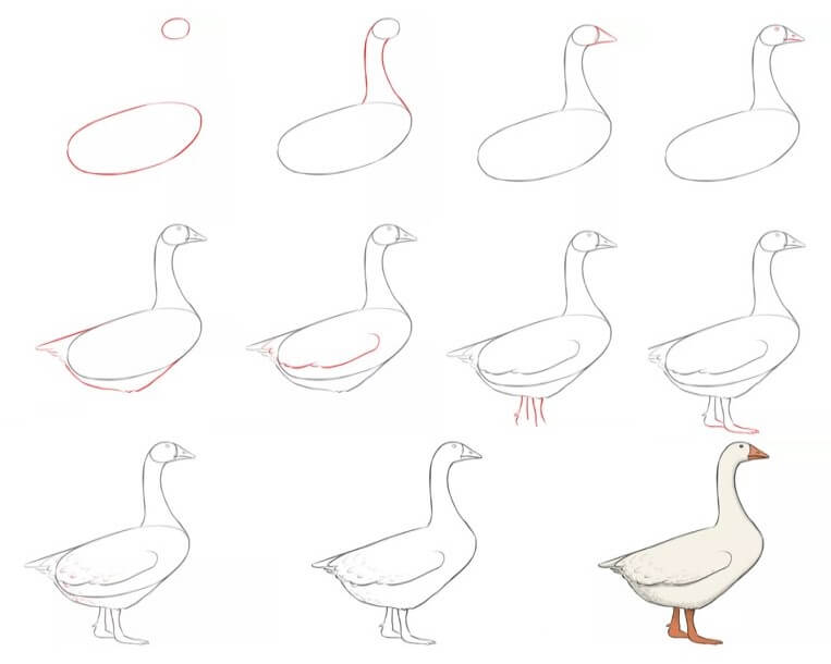 How to draw Goose idea (22)