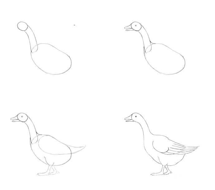 Goose idea (23) Drawing Ideas