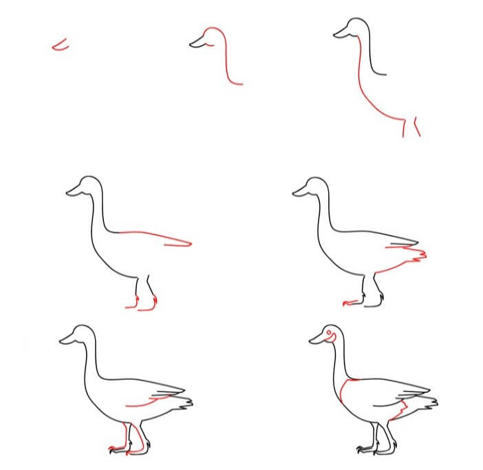 Goose idea (25) Drawing Ideas