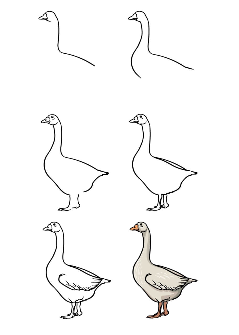 How to draw Goose idea (27)