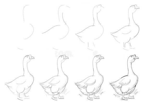 Goose idea (6) Drawing Ideas